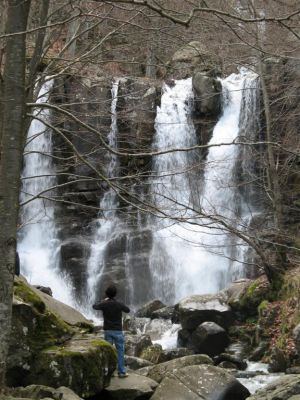 Clicca per l'immagine full size