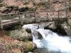 IMG_2169.JPG
