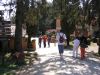 IMG_6082_(Large)~0.JPG