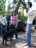 DSCN3400.JPG
