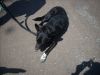DSCN3410.JPG
