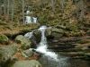 IMG_1194.JPG