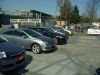 stechio059.jpg