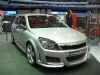 Muso Astra H By Irmscher.jpg