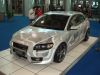 MySpecialCar070039.jpg