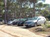 RadunoRoma070027.jpg