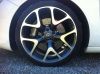IMG_1429.jpeg