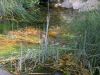 DSCN2061.JPG