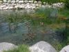 DSCN2066.JPG