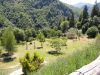 DSCN2551.jpg