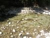 DSCN2565.jpg