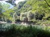 DSCN2573.jpg