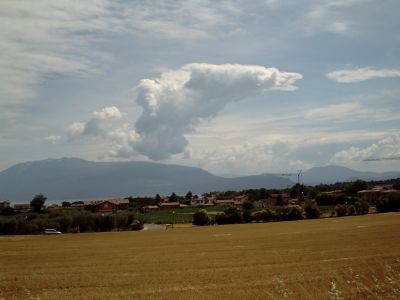 Clicca per l'immagine full size