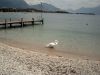 PICT0068.JPG