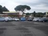 DSC09157.jpg